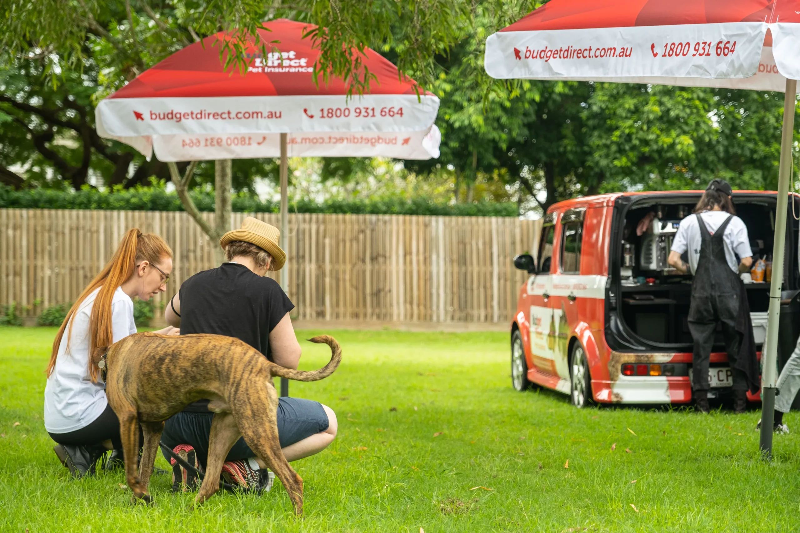 Budget Direct | Dog Park Tour